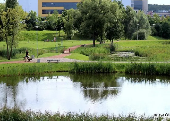 Ozo Park Center Apartman *