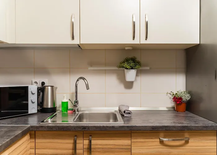 Ozo Park Center Apartment